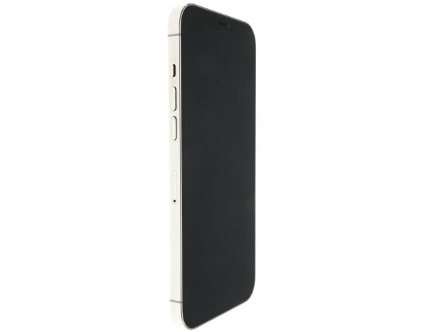 Apple iPhone 12 Pro Max 256 GB Silver 100%