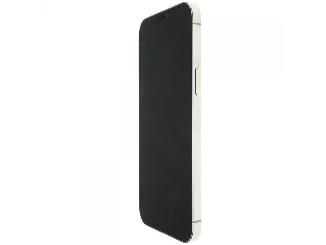 Apple iPhone 12 Pro Max 256 GB Silver 100%