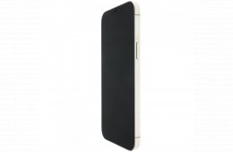 Apple iPhone 12 Pro Max 256 GB Silver 100%