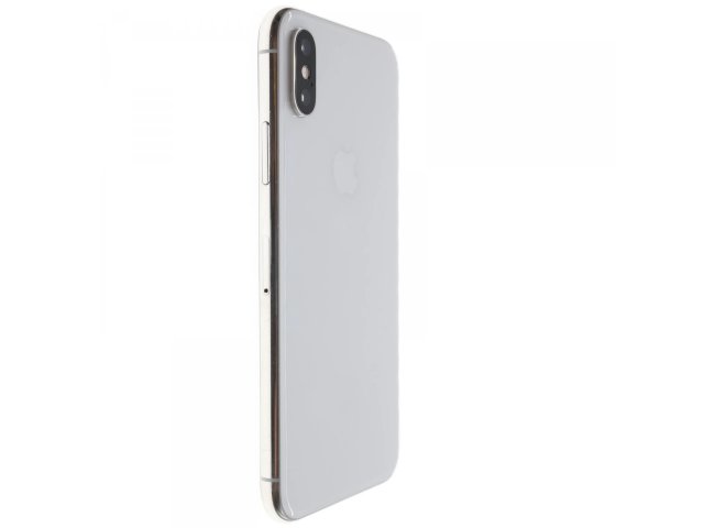 Apple iPhone XS 64 GB Silver 100%