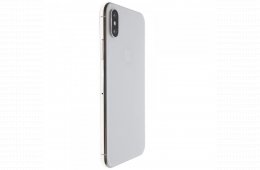 Apple iPhone XS 64 GB Silver 100%