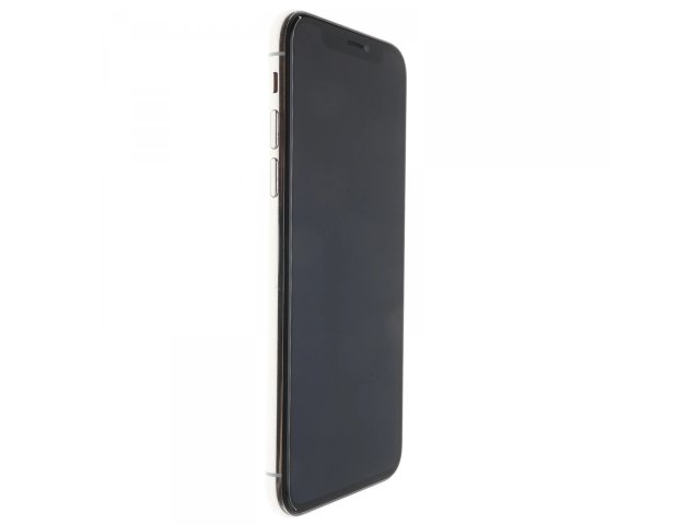 Apple iPhone XS 64 GB Silver 100%