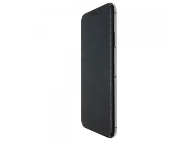 Apple iPhone 11 Pro Max 256 GB Space Gray 100%
