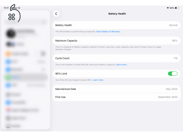 iPad Pro 11″ M4 | ezüst | 512 GB | 95% akku | OLED 120 Hz | újszerű | 1 év 9 hó gari