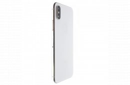 Apple iPhone XS 256 GB Silver 100%