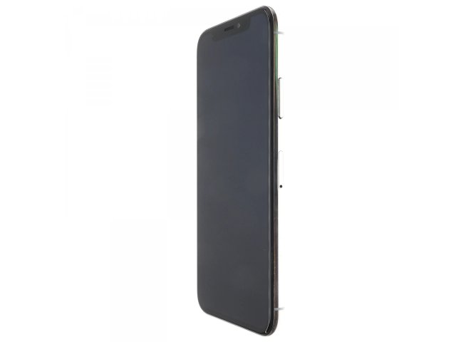 Apple iPhone XS 256 GB Silver 100%