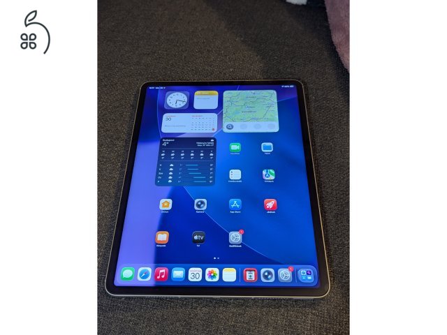 iPad Pro 12,9