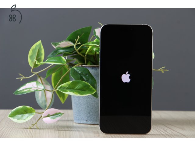 Apple iPhone 15 Pro Max 256GB White Titanium A US-7376