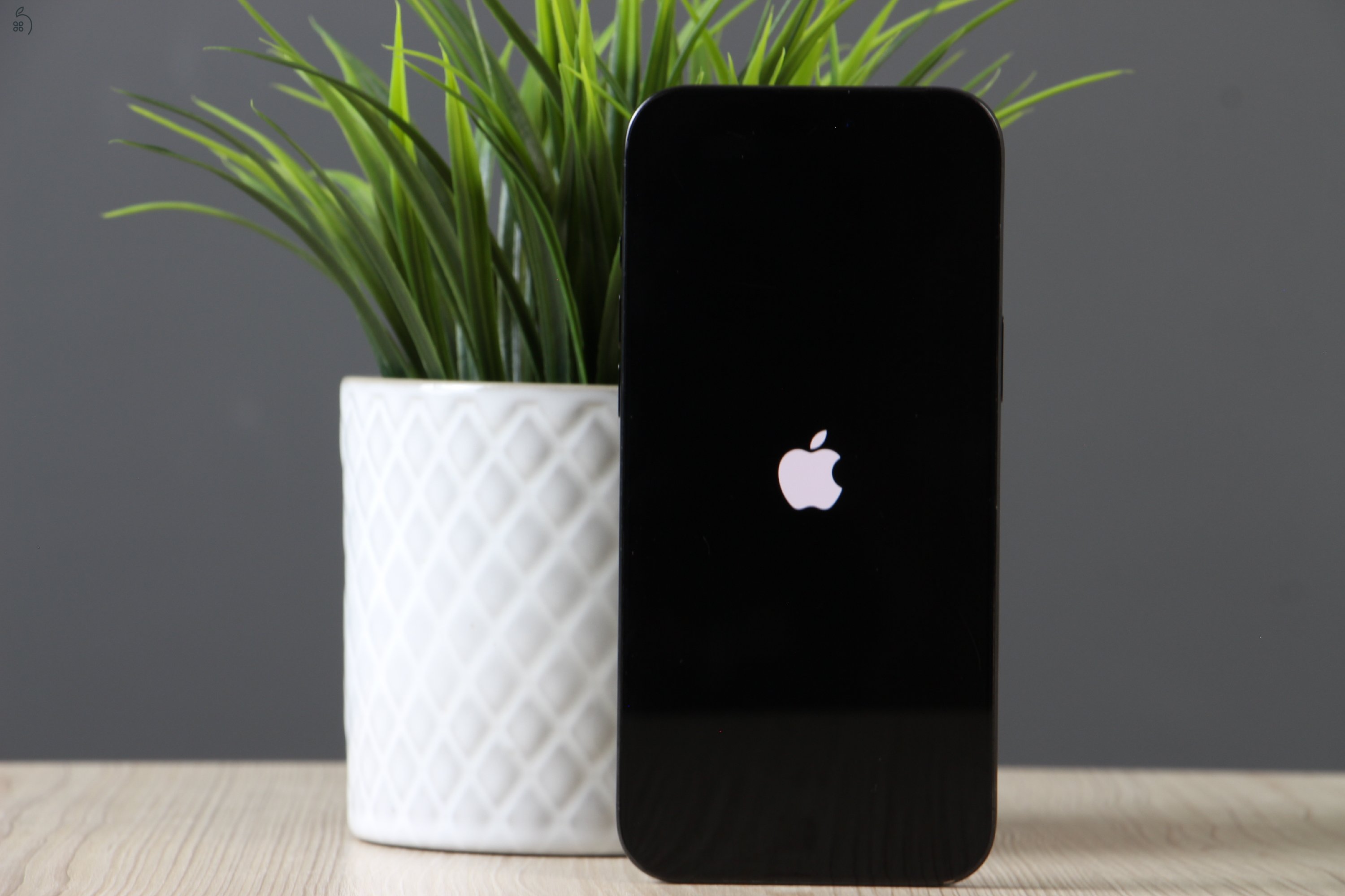 Apple iPhone 16 Pro Max 256GB Black Titanium C+ US-7489