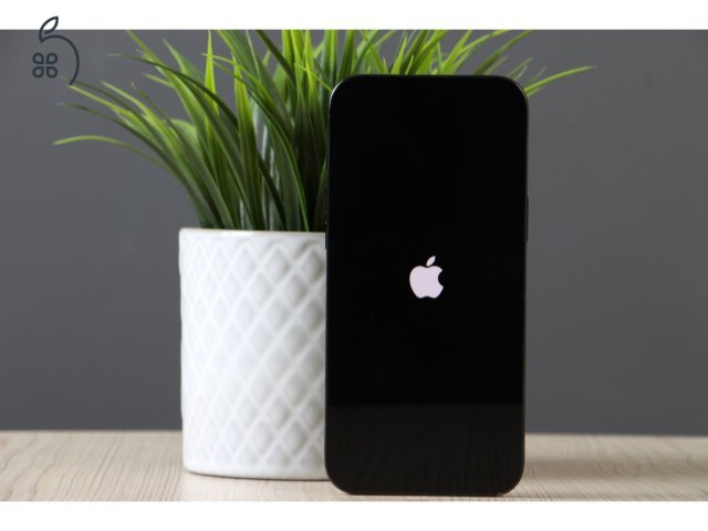 Apple iPhone 16 Pro Max 256GB Black Titanium C+ US-7489