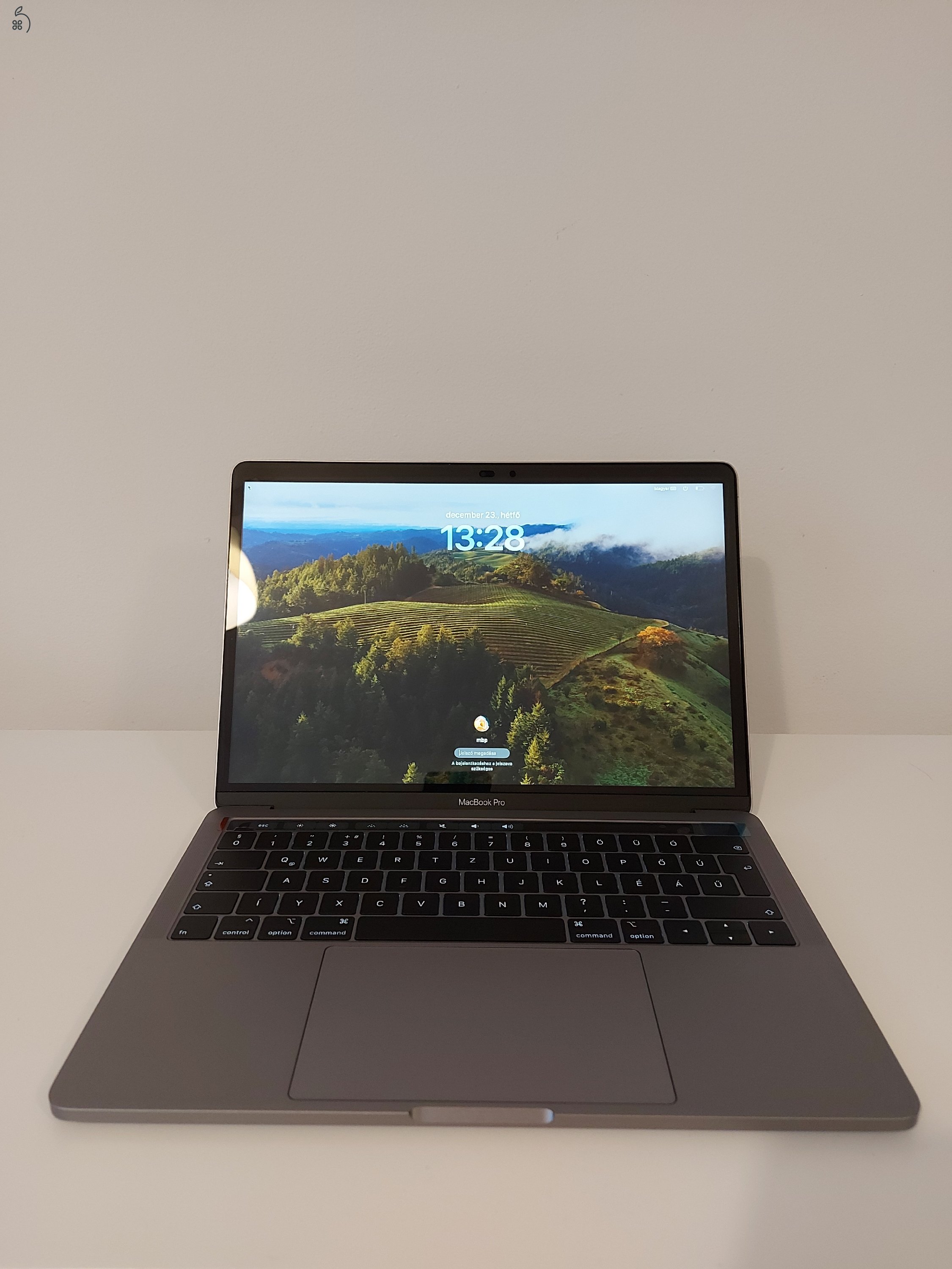  Apple MacBook Pro 13