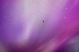 Apple iMac A1225 (Early 2009)