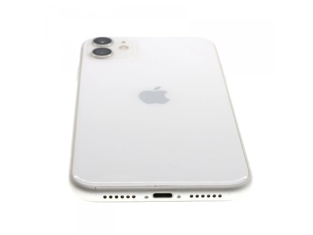 Apple iPhone 11 64 GB White 100%