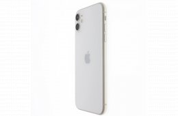 Apple iPhone 11 64 GB White 100%