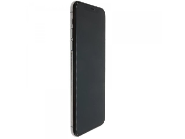 Apple iPhone 11 Pro Max 64 GB Space Gray 100%