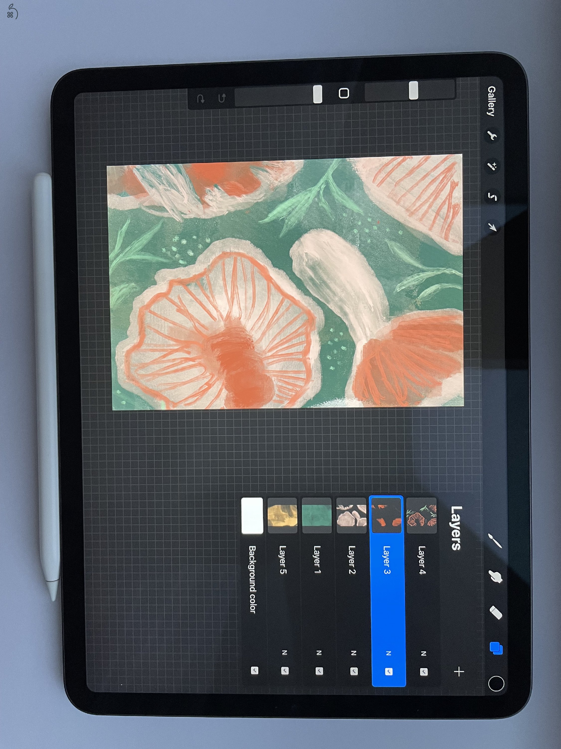 iPad Pro 2020 11''  space grey + apple pencil (2.gen.)