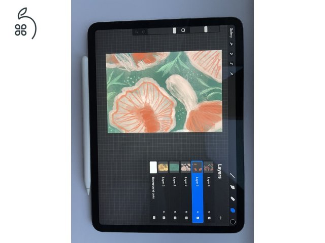 iPad Pro 2020 11''  space grey + apple pencil (2.gen.)