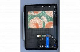 iPad Pro 2020 11''  space grey + apple pencil (2.gen.)