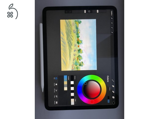 iPad Pro 2020 11''  space grey + apple pencil (2.gen.)