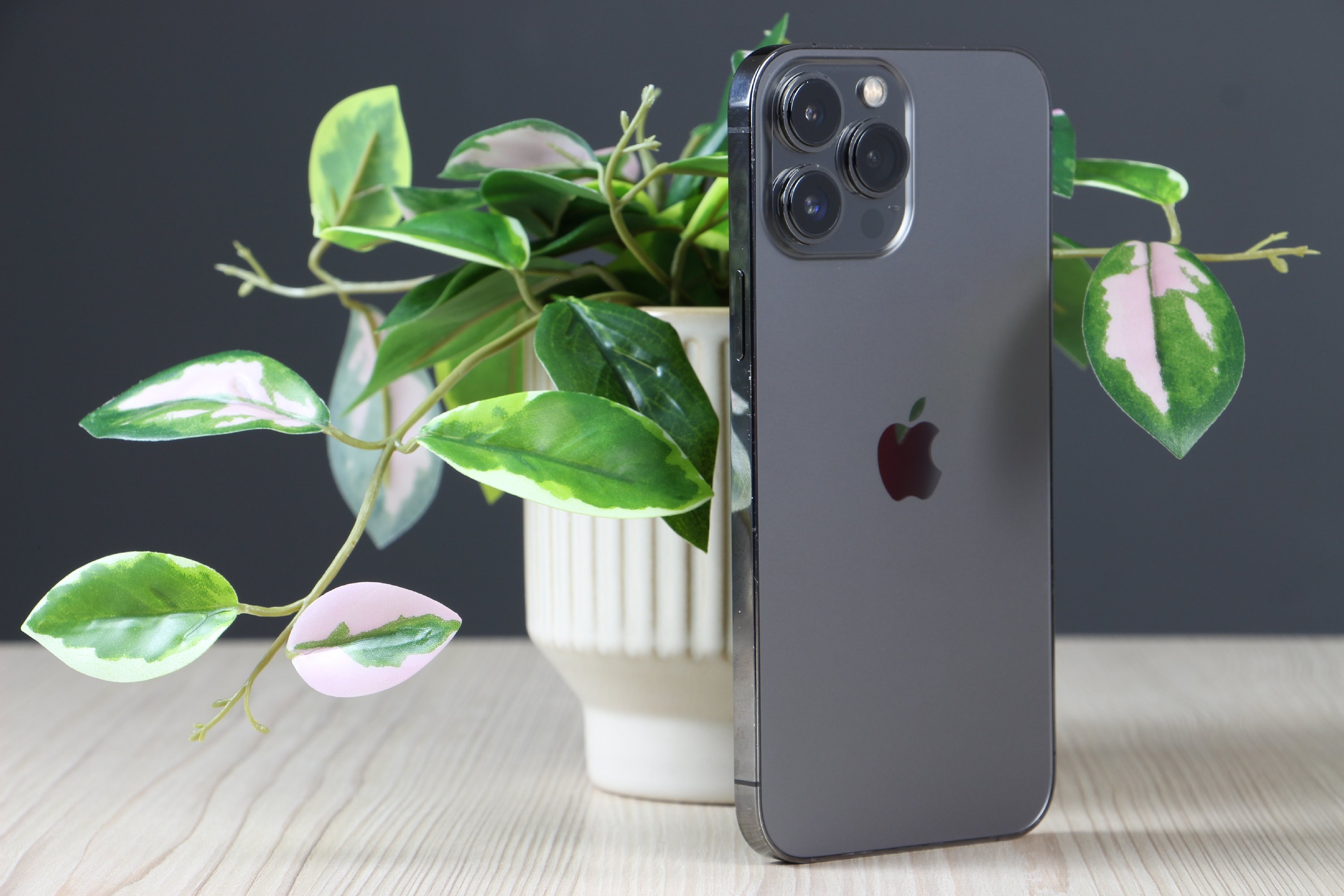 Apple iPhone 13 Pro Max 256GB Graphite C+ US-7479