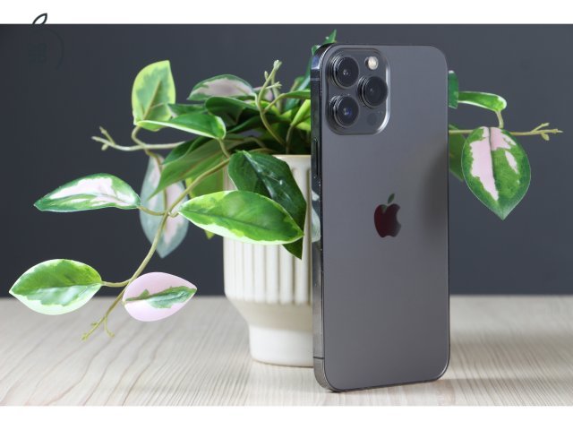 Apple iPhone 13 Pro Max 256GB Graphite C+ US-7479