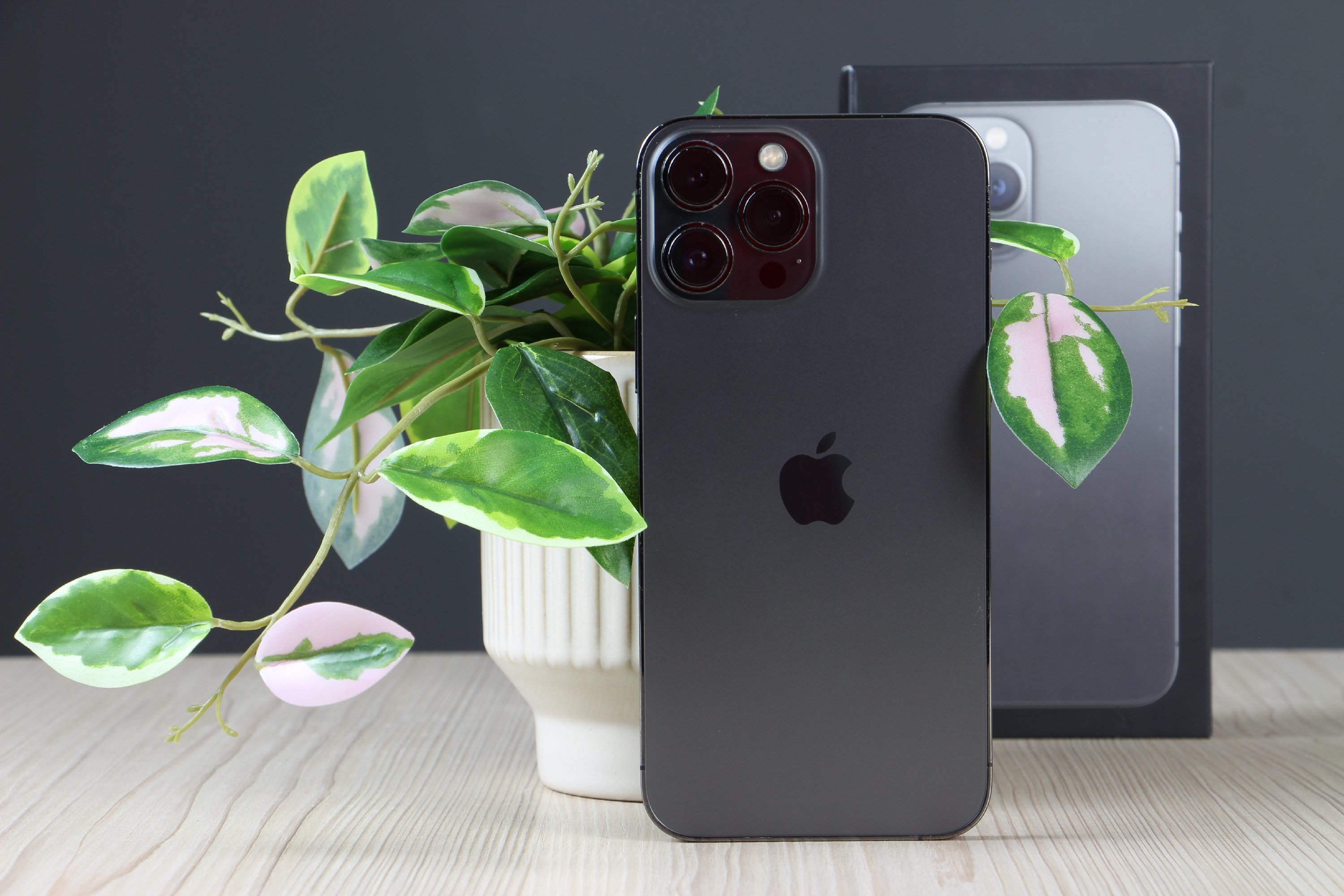 Apple iPhone 13 Pro Max 256GB Graphite C+ US-7479