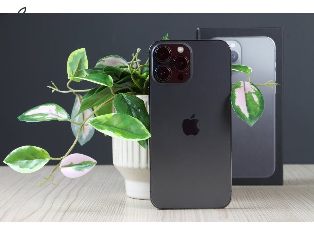 Apple iPhone 13 Pro Max 256GB Graphite C+ US-7479