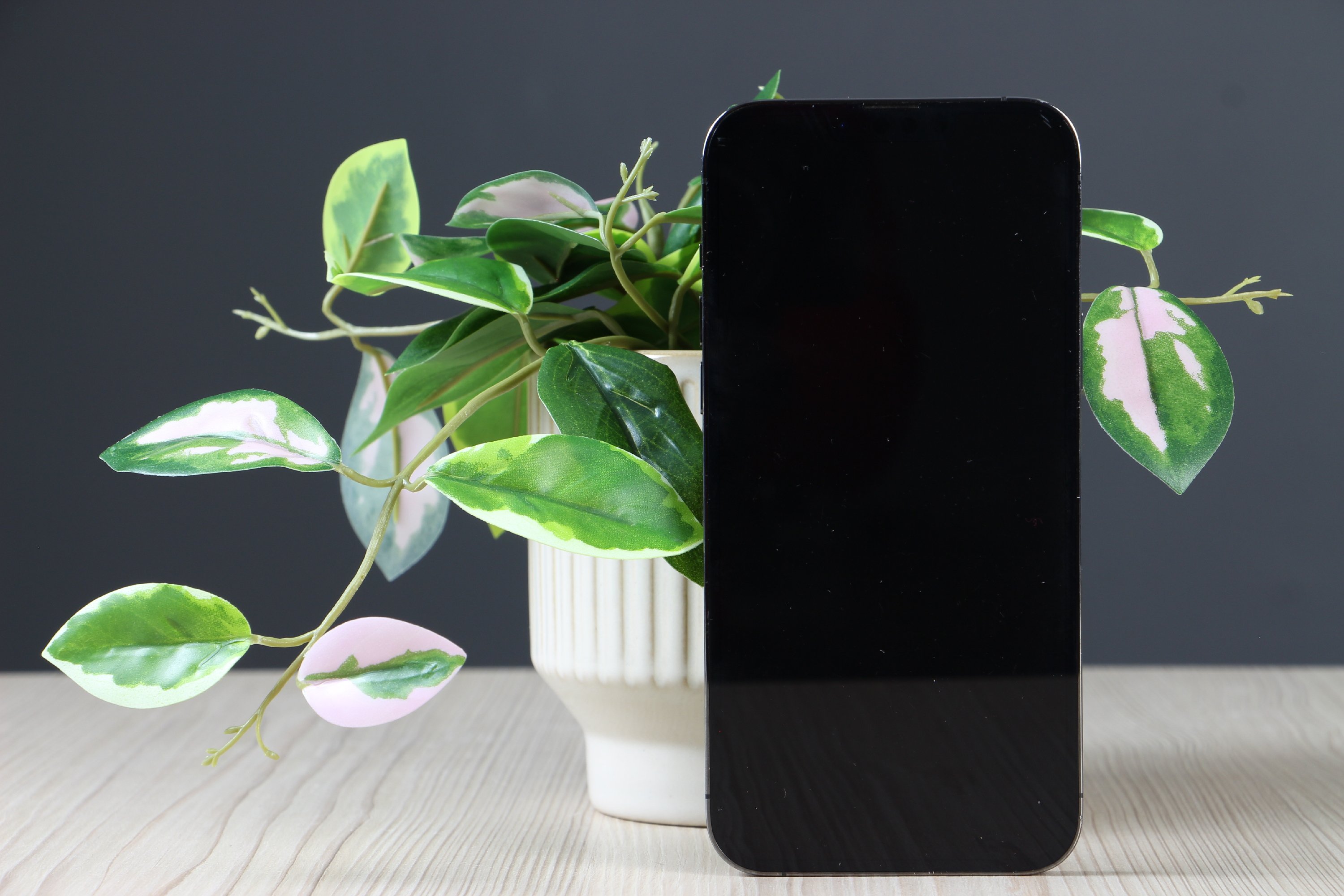 Apple iPhone 13 Pro Max 256GB Graphite C+ US-7479