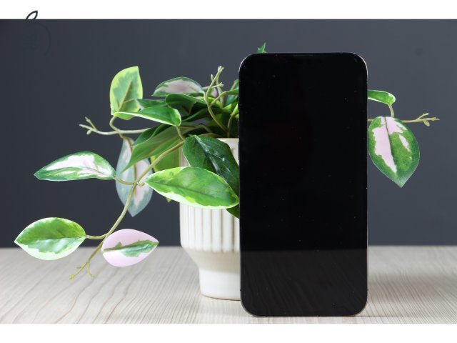 Apple iPhone 13 Pro Max 256GB Graphite C+ US-7479