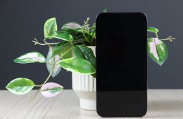 Apple iPhone 13 Pro Max 256GB Graphite C+ US-7479