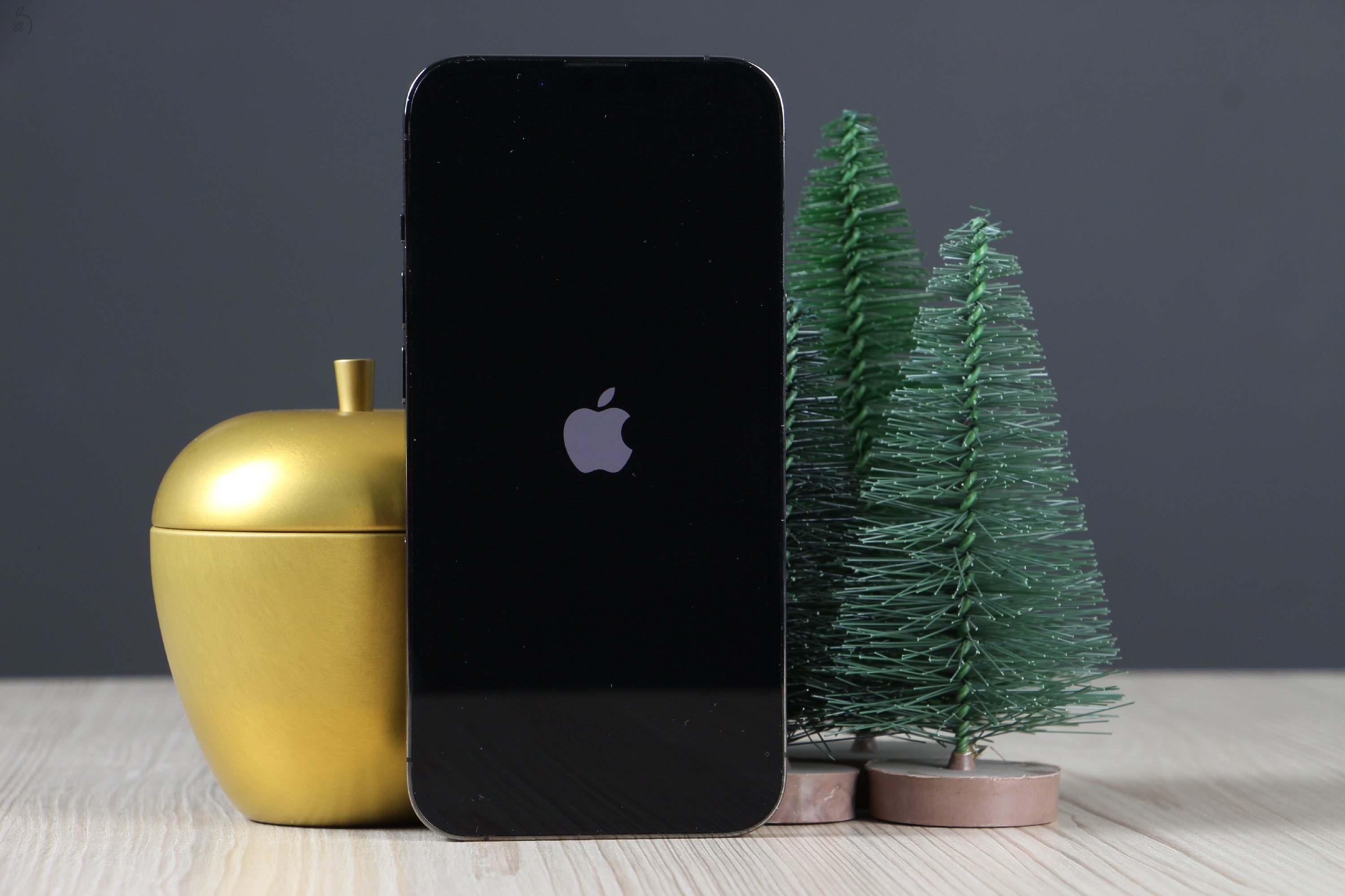 Apple iPhone 13 Pro 128GB Graphite B US-7496