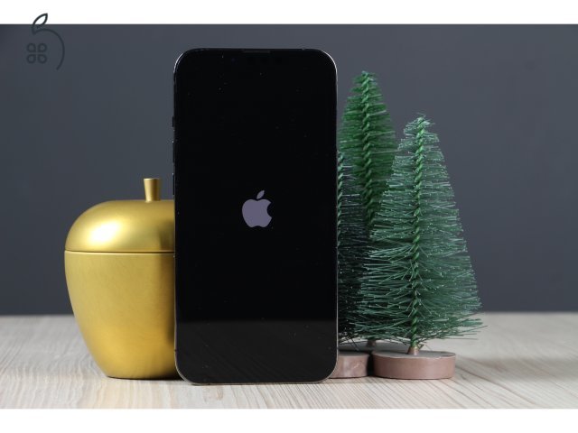 Apple iPhone 13 Pro 128GB Graphite B US-7496