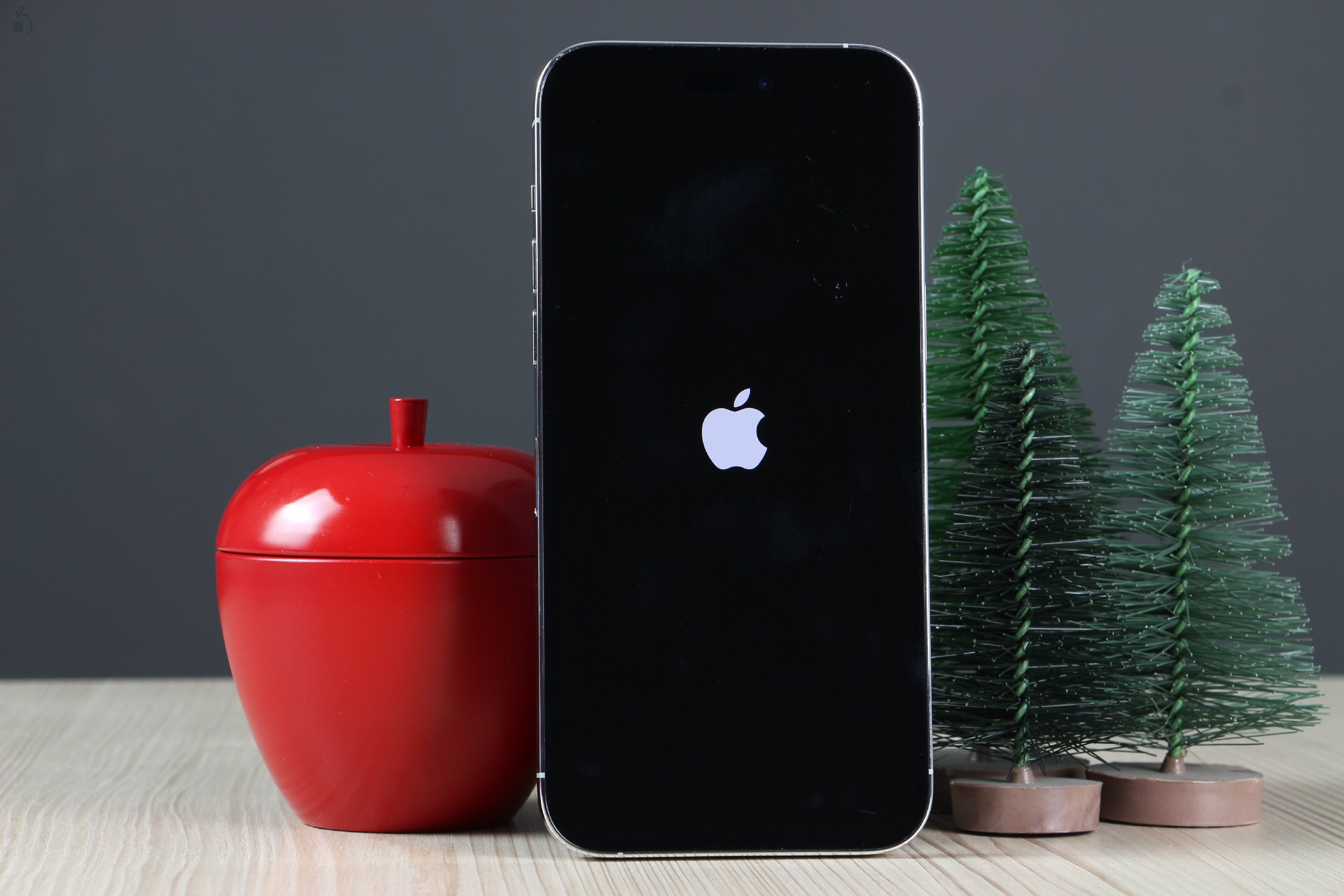 Apple iPhone 14 Pro Max 128GB Silver C+ US-7517