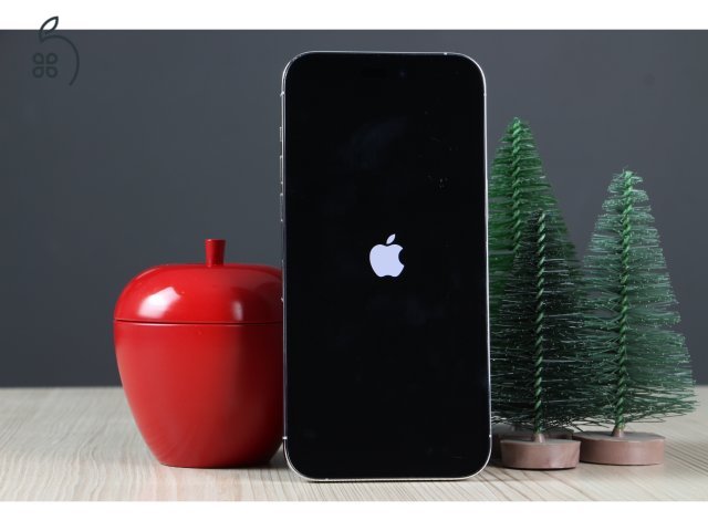 Apple iPhone 14 Pro Max 128GB Silver C+ US-7517