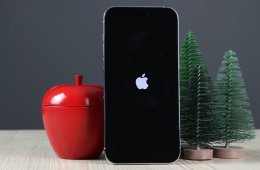 Apple iPhone 14 Pro Max 128GB Silver C+ US-7517