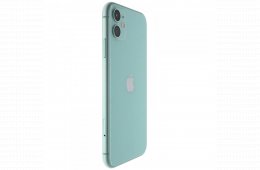 Apple iPhone 11 64 GB Green 100%