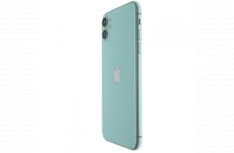 Apple iPhone 11 64 GB Green 100%