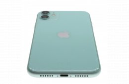 Apple iPhone 11 64 GB Green 100%