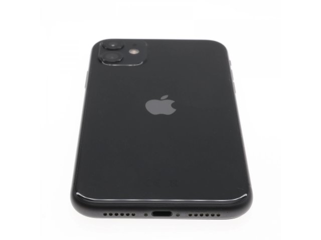 Apple iPhone 11 64 GB Black 100%