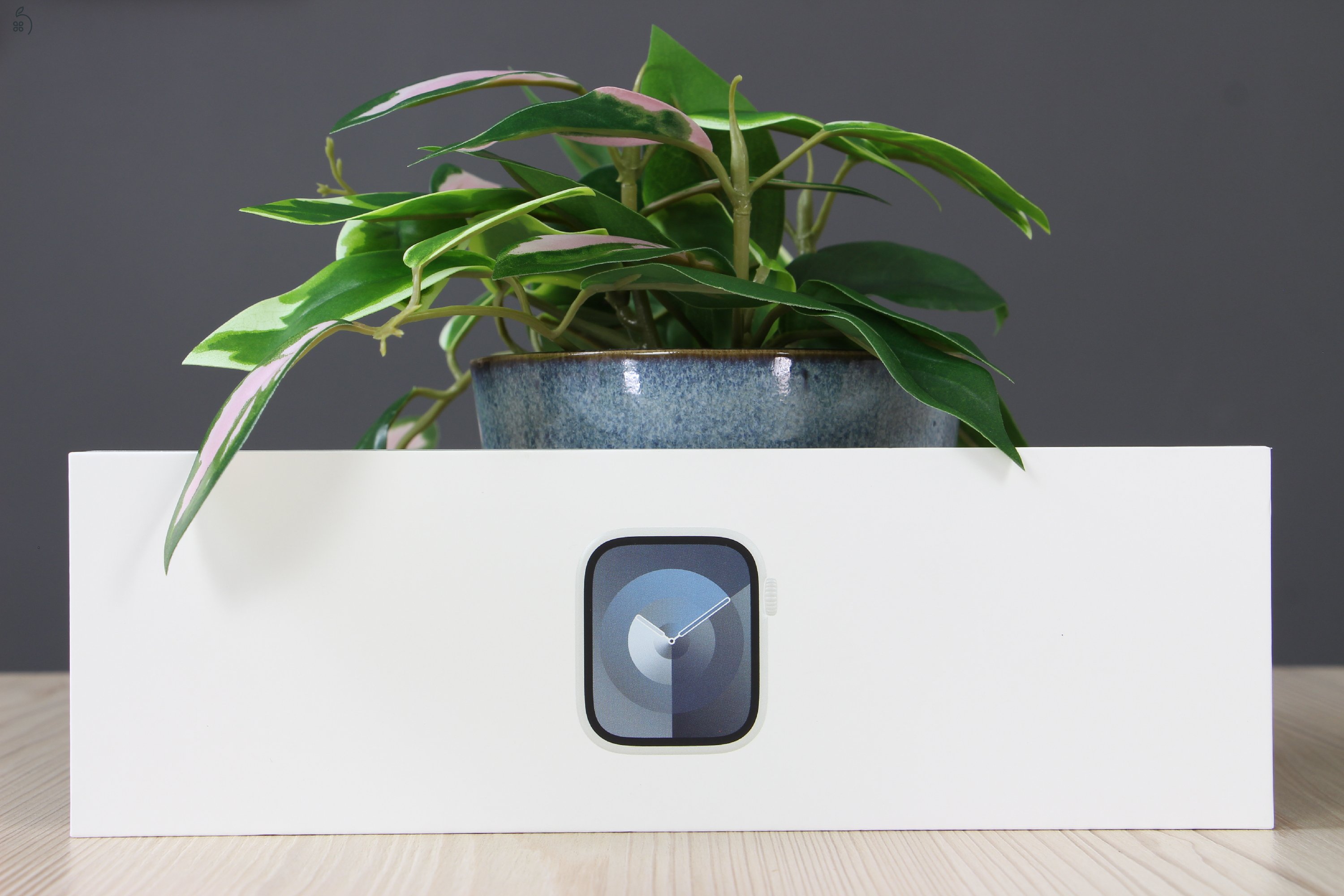 Új Apple Watch Series 9 45mm Silver GPS US-6822