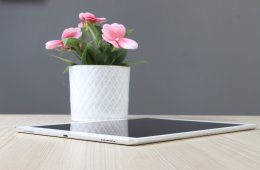 iPad Pro 12.9 2017 256GB WiFi US-4423