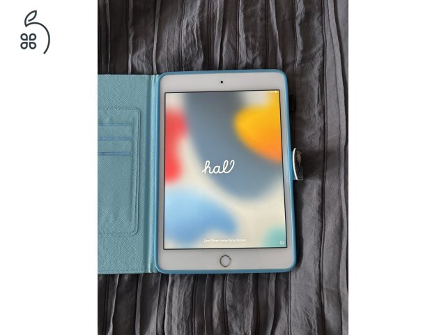 Apple Ipad mini 4 