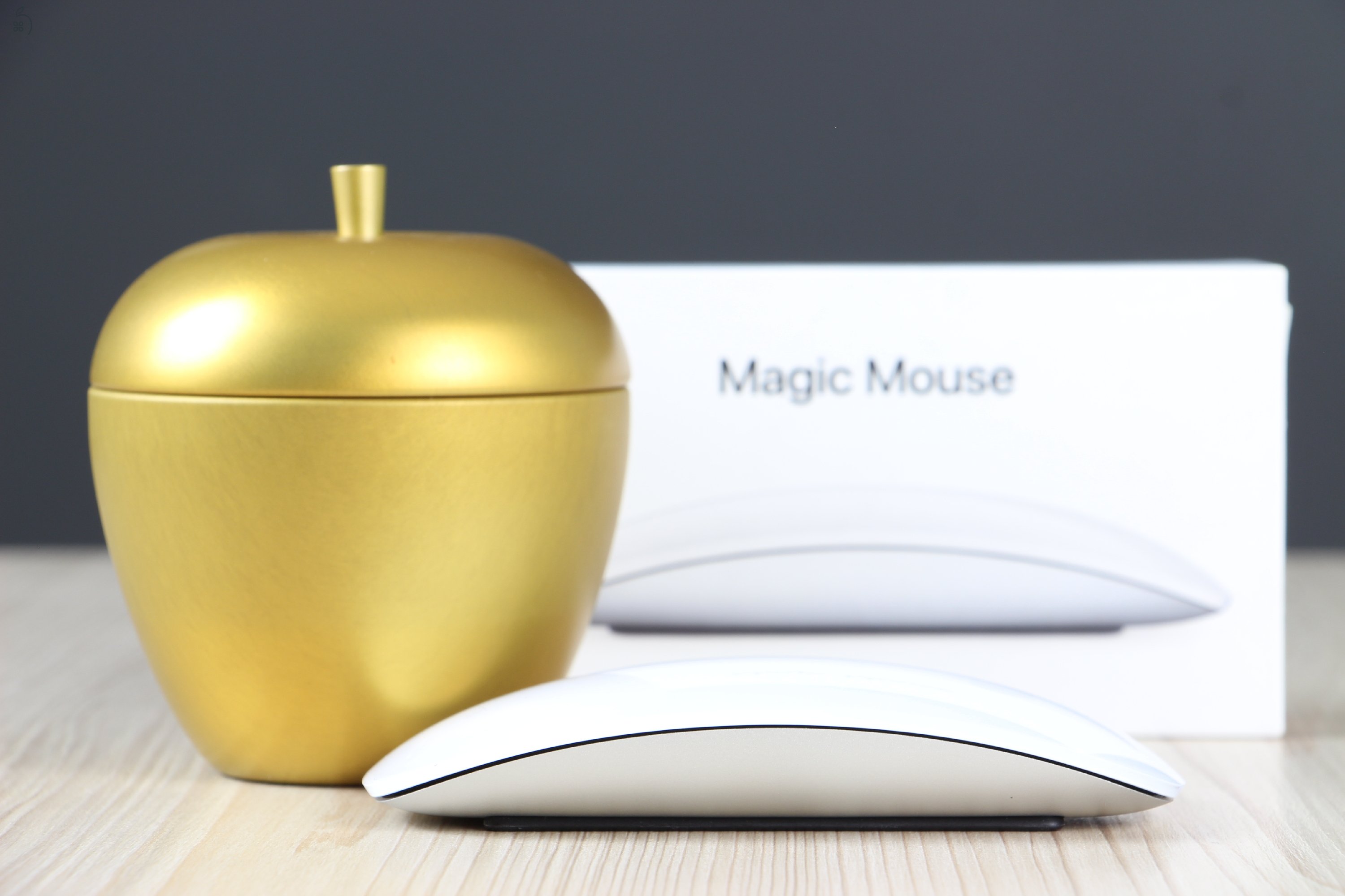 Magic Mouse 2 US-7561