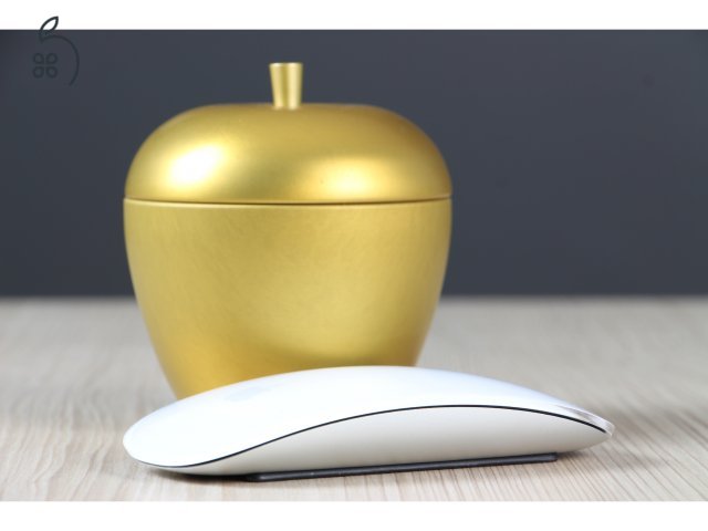 Magic Mouse 2 US-7561