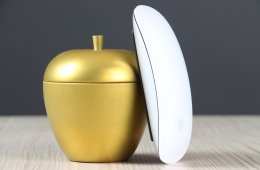 Magic Mouse 2 US-7561