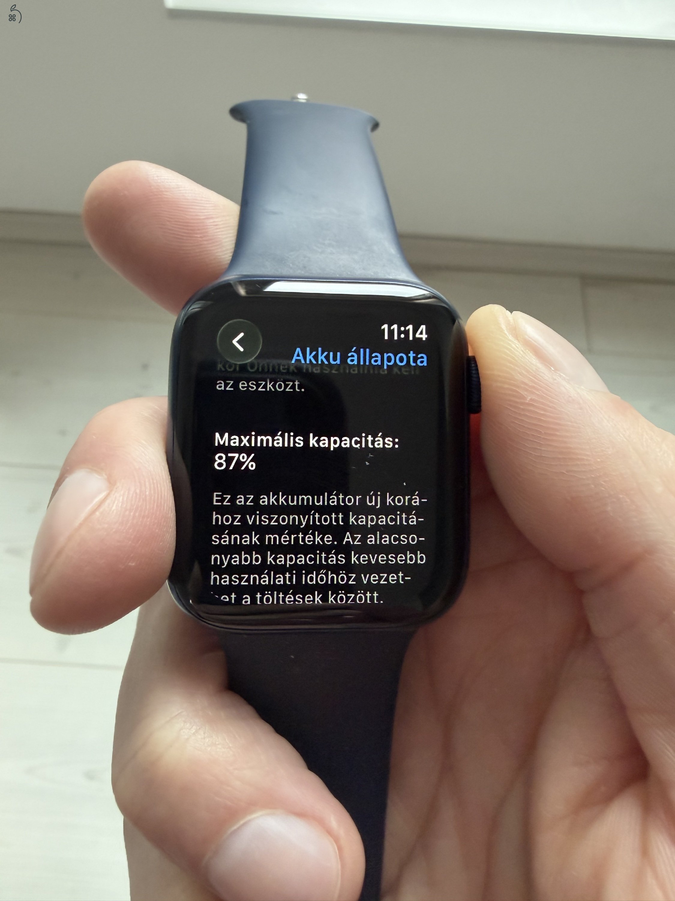 Apple Watch Series 6 (S6) 44 mm