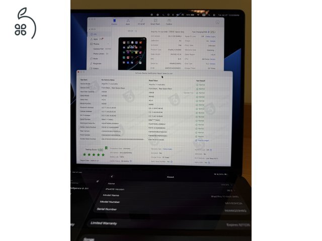 Garancialis Ipad Pro M4 256GB Wifi 100% akku
