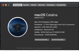 iMac 21,5