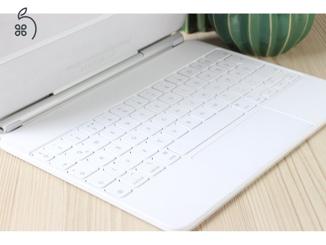 Apple Magic Keyboard 11