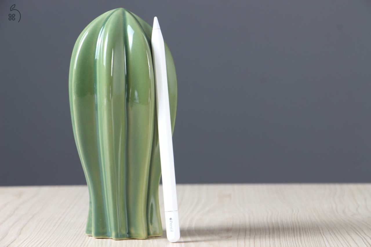 Apple Pencil USB-C - US-007679